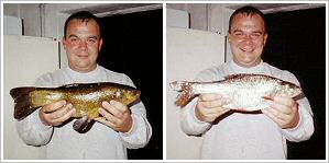 Fangerfolge: Schlei (47 cm) Pl�tze  (41 cm)